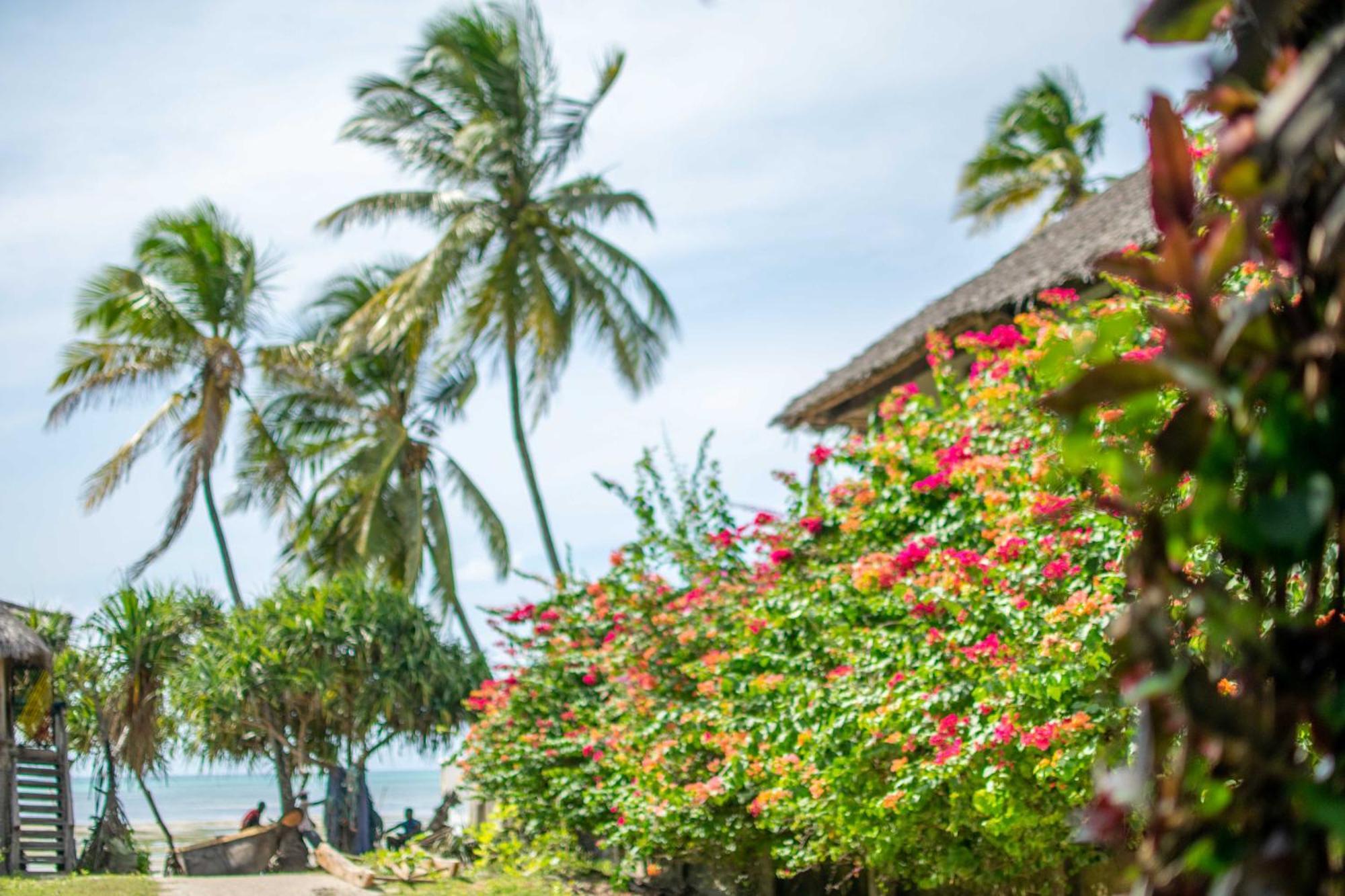 Beachfront Villa Ladha Ya Zanzibar Джамбіані Екстер'єр фото